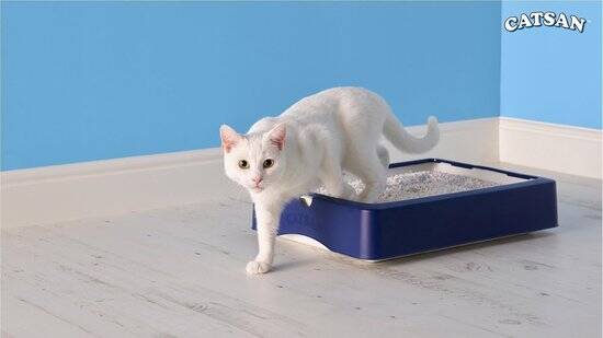 Catsan Kattenbakvulling - Hygiene Plus Geurabsorberend - 20 L - Afbeelding 3