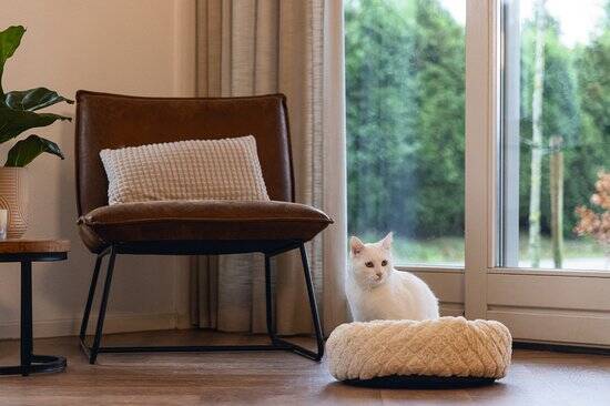 Beeztees Levisa - Kattenmand - Beige - 43x43x13 cm - Kleine Katten - Afbeelding 4