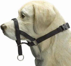 Beeztees Dog Control - Halsband Hond - Zwart - L