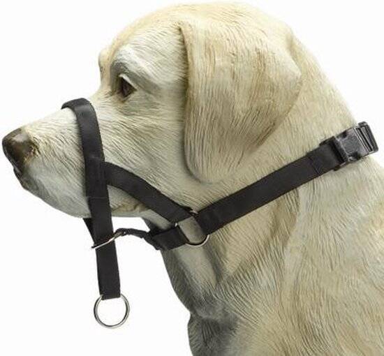 Beeztees Dog Control - Halsband Hond - Zwart - L