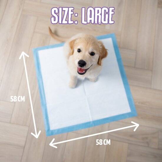 Easypets Puppy Training Pads - 250 stuks - Zindelijkheidstraining - Hondentoilet - 58 x 58 cm - Afbeelding 3