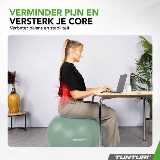 Tunturi Anti Burst Fitness bal met Pomp - Yoga bal 65 cm - Pilates bal - Zwangerschapsbal – 220 kg gebruikersgewicht - Incl Trainingsapp – Munt - Afbeelding 3