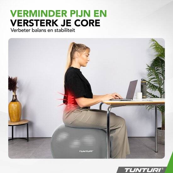 Tunturi Anti Burst Fitness bal met Pomp - Yoga bal 65 cm - Pilates bal - Zwangerschapsbal – 220 kg gebruikersgewicht - Incl Trainingsapp – Zilver - Afbeelding 4