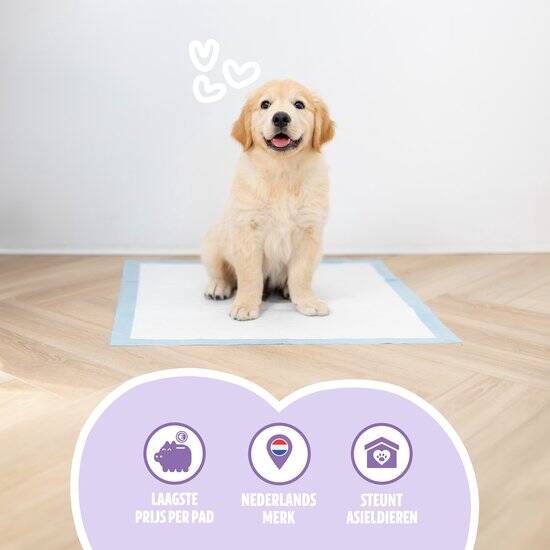 Easypets Puppy Training Pads - 250 stuks - Zindelijkheidstraining - Hondentoilet - 58 x 58 cm - Afbeelding 2